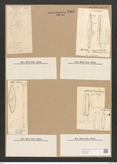 Diatomeae indet. (de-Toni-Nr.: Species 1276 ?) Zeichnungen Sammlung Grunow Nr. 2466 (NHMW-BOT-W0369639)